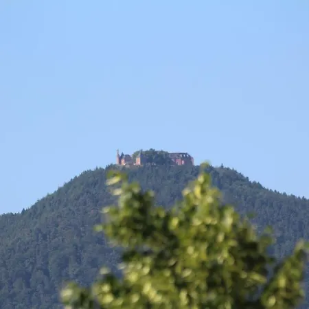 Niedermatten Boersch